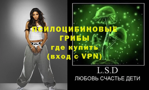 дживик Баксан