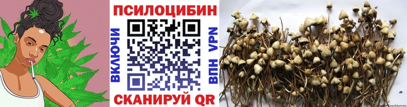 Псилоцибиновые грибы MAGIC MUSHROOMS  Купить закладки  Кола 