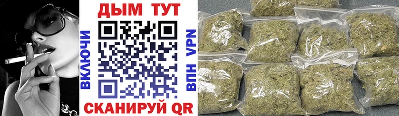 Купить  Кола  Бошки марихуана SATIVA & INDICA 